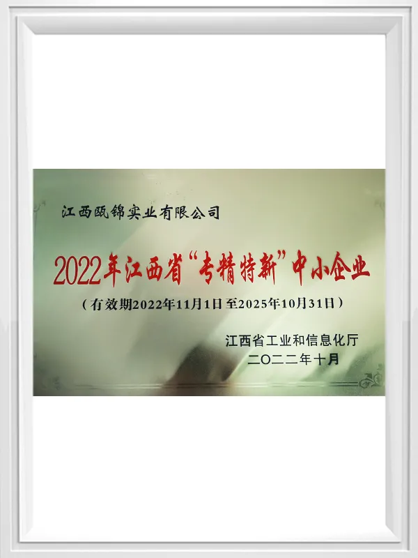 Specialized, refined and innovative small and medium-sized enterprises